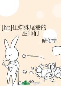 住蜘蛛尾巷的巫师们封面