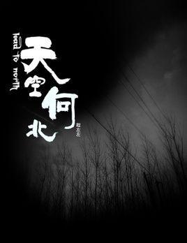 天空向北封面