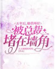 五年后，她带两娃被总裁堵在墻角封面