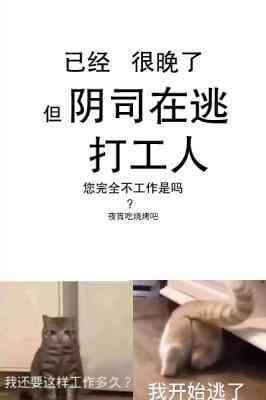 阴司在逃打工人封面
