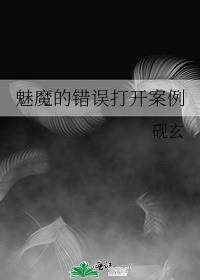 魅魔的错误打开案例封面