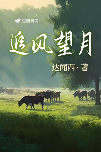 追风望月封面