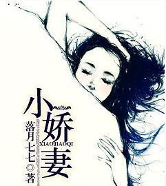 小娇妻封面