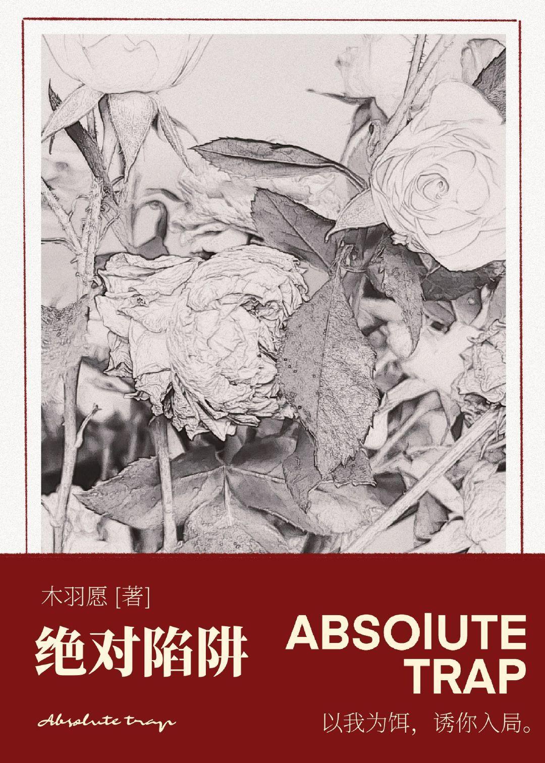 绝对陷阱封面