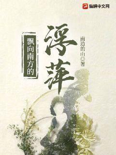 飘向南方的浮萍封面