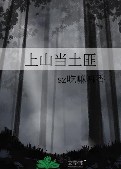上山当土匪封面
