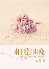 相爱恨晚封面
