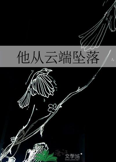他从云端坠落封面