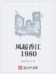 风起香江1980封面