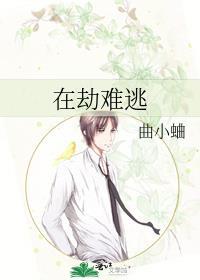 在劫难逃封面