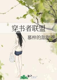穿书者联盟封面