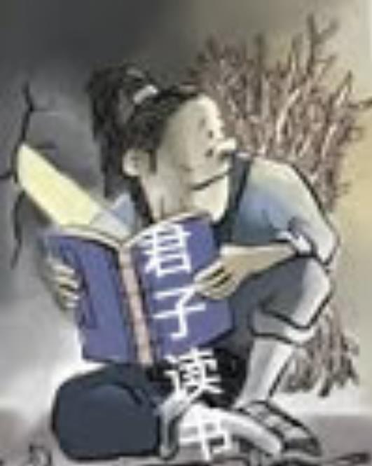 小白兔与大灰狼封面