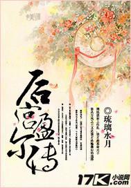 后宫盈尔传封面