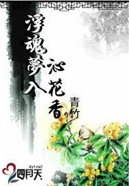 浮魂梦入沁花香封面