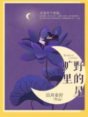 旷野裏的星封面
