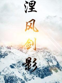涅风剑影封面