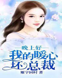 晚上好,我的暖心坏总裁封面