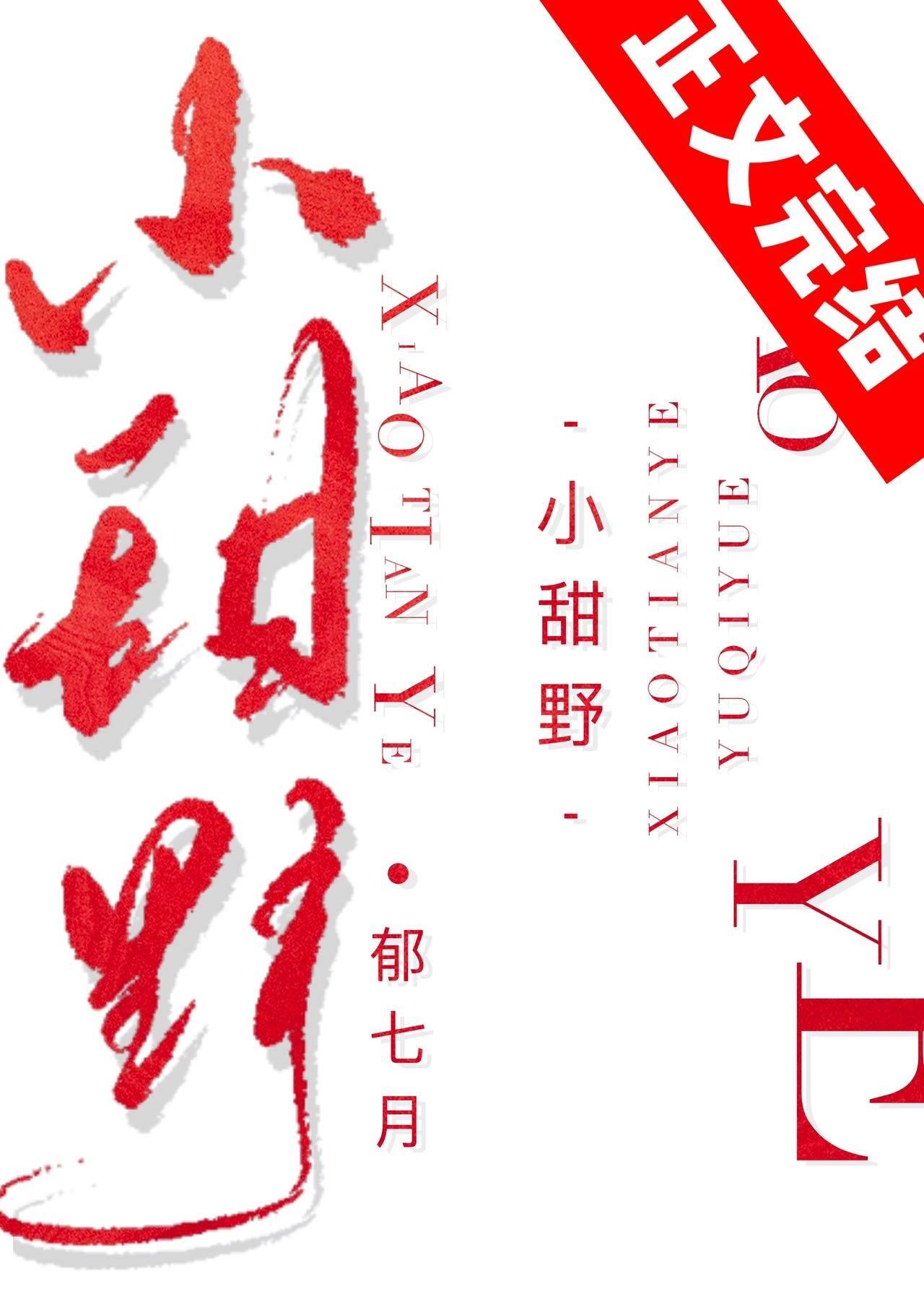 他的小甜野封面