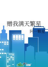 赠我满天繁星封面