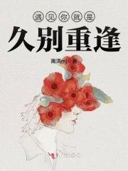 遇见你就是久别重逢封面