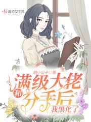 和满级大佬分手后我黑化了封面