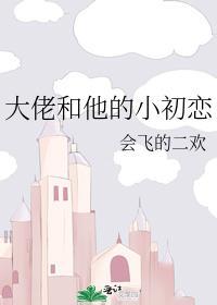 大佬和他的小初恋封面
