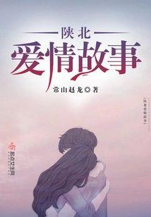 陜北爱情故事封面