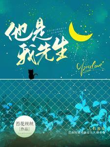 他是我先生封面