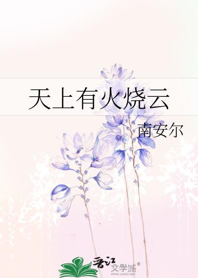 天上有火烧云封面