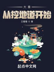 大秦从挖地道开始封面