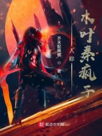 他的野天鹅封面