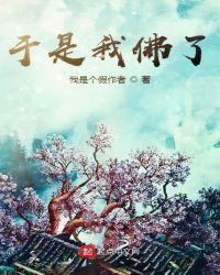 于是我佛了封面