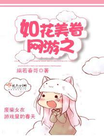 网游之如花美眷封面
