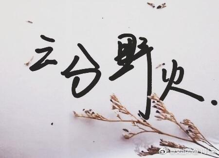 刑侦:三分野火封面