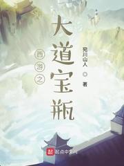 西游之大道宝瓶封面
