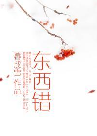 东西错封面