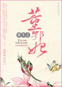 重生之董鄂妃封面
