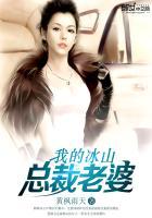 我的冰山总裁老婆（叶雄杨心怡（叶雄全文））封面