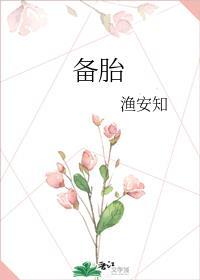 备胎封面