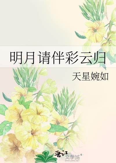 明月请伴彩云归封面