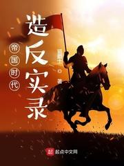 帝国时代造反实录封面