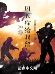 亮剑：团长你给我留点封面