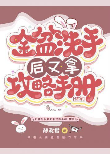 金盆洗手后又拿攻略手册[快穿]封面