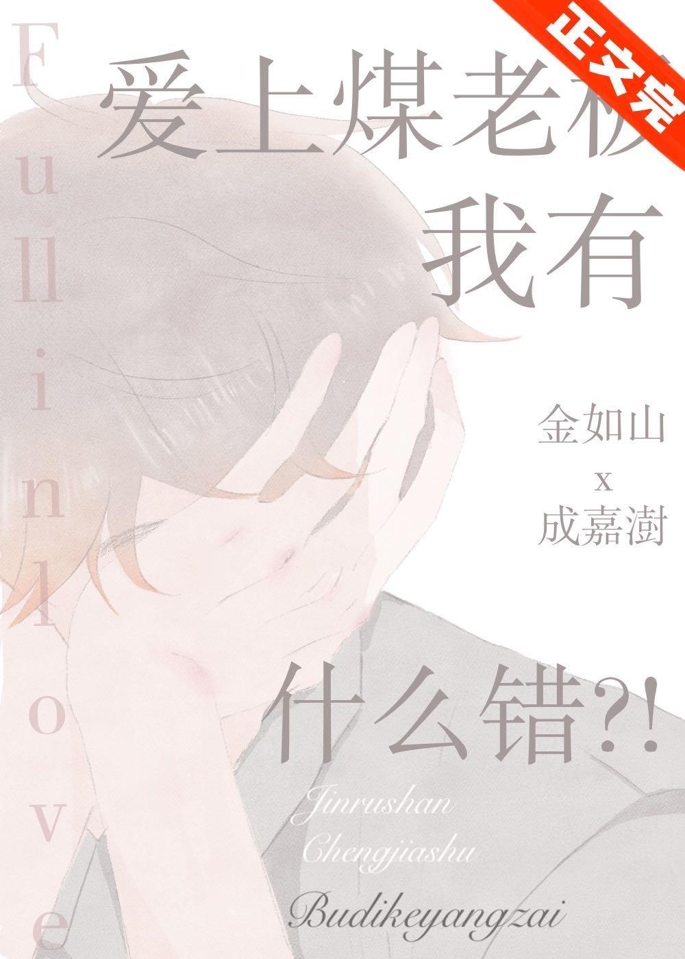 爱上煤老板我有什么错！？封面