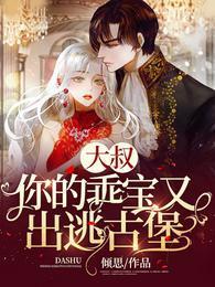 大叔，你的乖宝又出逃古堡封面