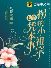 七爷凭本事拐的小祖宗封面