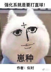 强化系就是要打直球封面