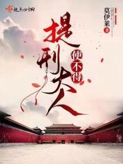 提刑大人使不得封面