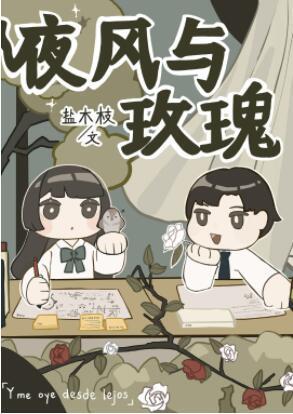夜风与玫瑰封面