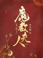 魔教夫人失忆了封面